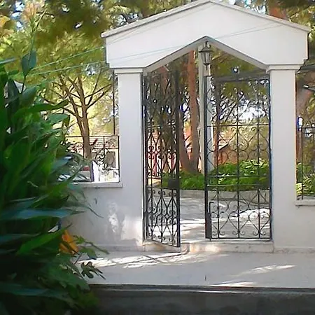 Pensjonat Pine House *