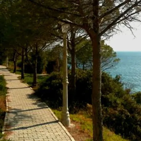 Pensjonat Pine House *
